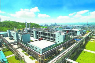 經(jīng)濟(jì)長江綠為先