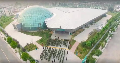 段然 最 土 的產(chǎn)業(yè)如何與市場(chǎng)接軌 2020博鰲文創(chuàng)周